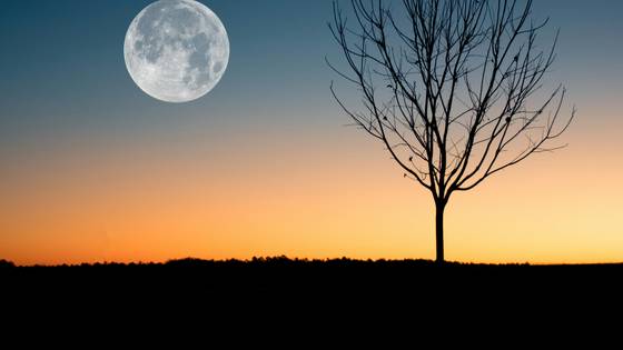 Moon Rising In Evening wallpaper for 1920×1080 (Full HD) (1920x1080)